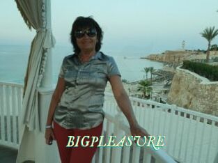 BIGPLEASURE