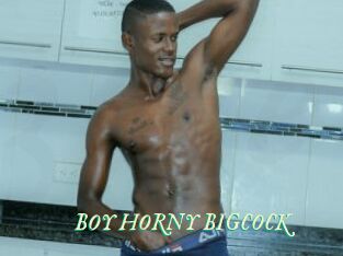 BOY_HORNY_BIGCOCK