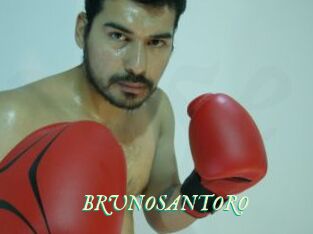 BRUNOSANTORO