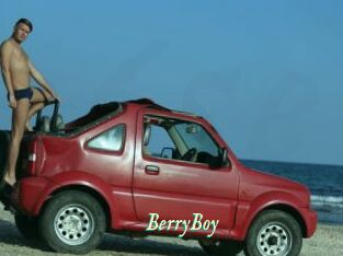 BerryBoy
