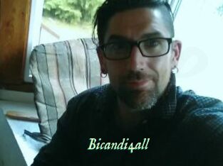 Bicandi4all