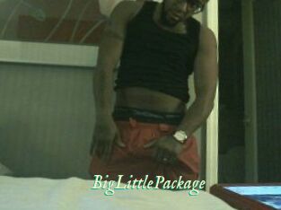 BigLittlePackage