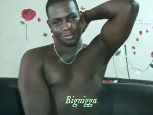 Bignigga
