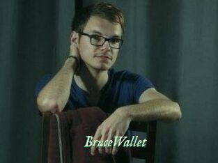 BruceWallet