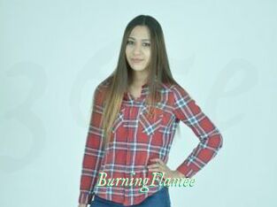BurningFlamee