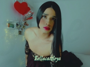 Bellacattleya