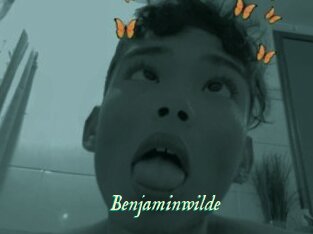 Benjaminwilde