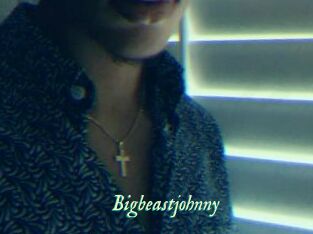 Bigbeastjohnny