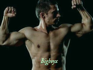 Bigboyx