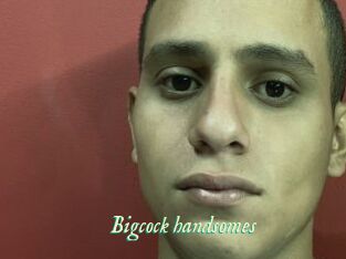 Bigcock_handsomes
