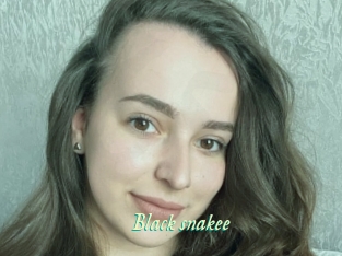 Black_snakee