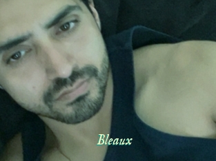 Bleaux