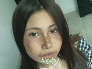 Bleydys
