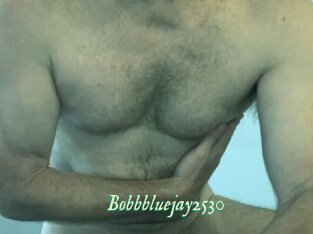 Bobbbluejay2530