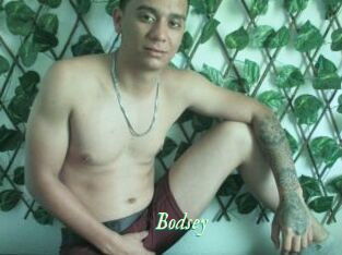 Bodsey