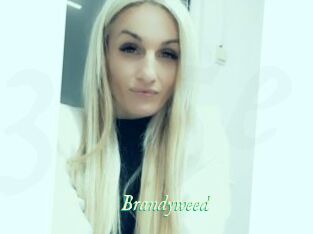 Brandyweed
