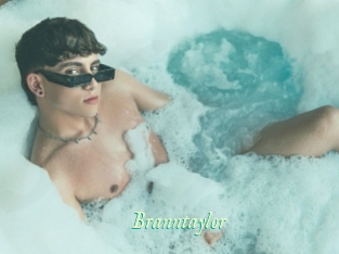 Branntaylor