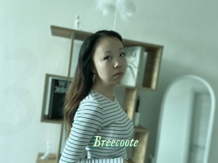 Breecoote