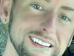 Breedingbros