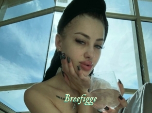 Breefigge