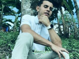 Bremyelo