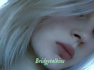 Bridgetalkins