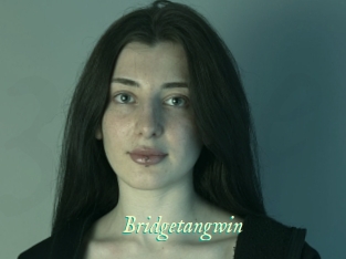 Bridgetangwin