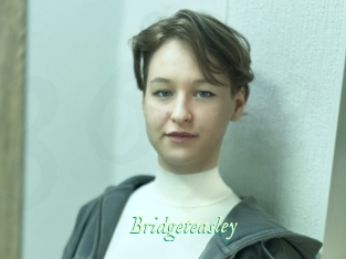 Bridgeteasley