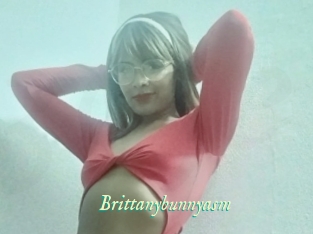 Brittanybunnyasm