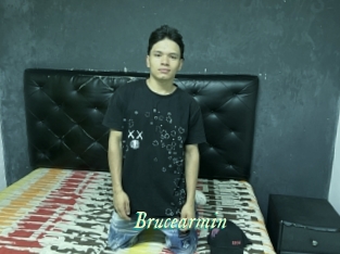 Brucearmin