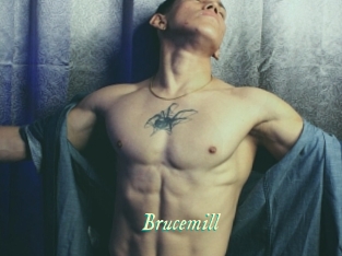 Brucemill