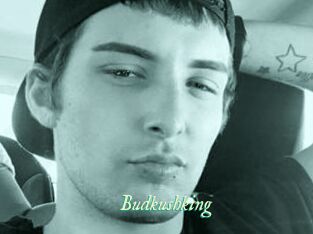 Budkushking