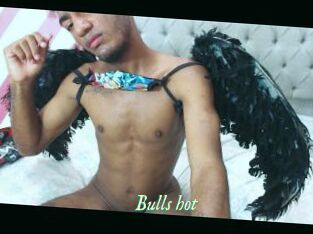 Bulls_hot