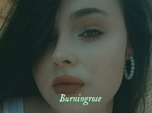 Burningrose