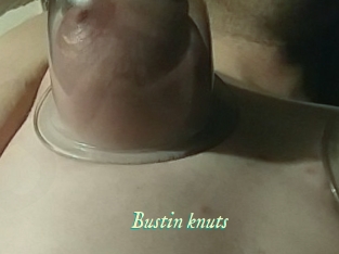 Bustin_knuts