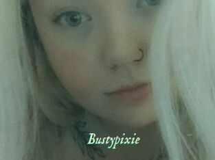 Bustypixie