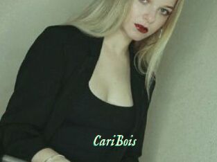 CariBois