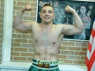 CarlitoBoxer