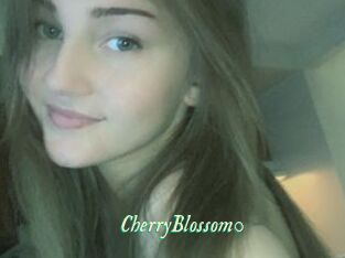 CherryBlossom0