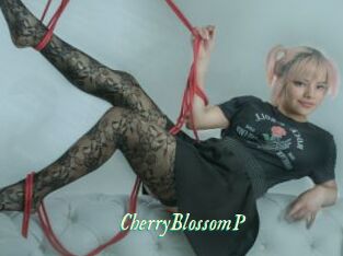 CherryBlossomP