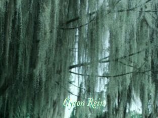 Clyton_Rein