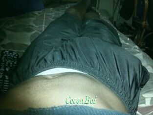 CocoaBoi