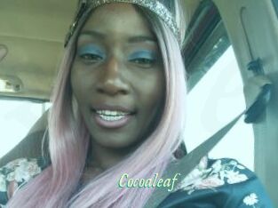 Cocoaleaf