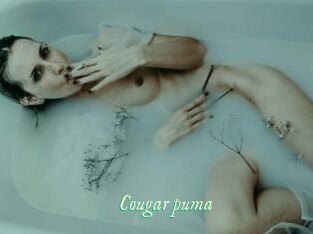 Cougar_puma