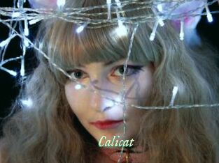 Calicat
