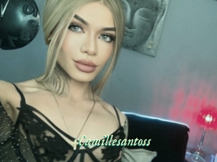 Camillesantoss