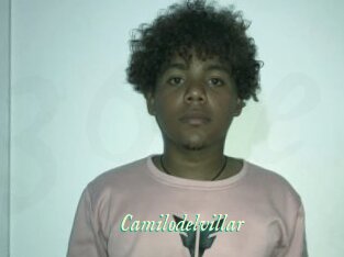 Camilodelvillar
