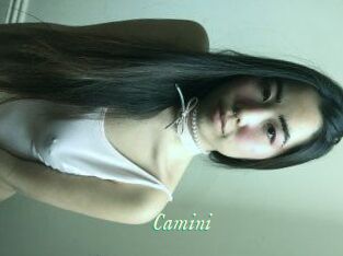 Camini