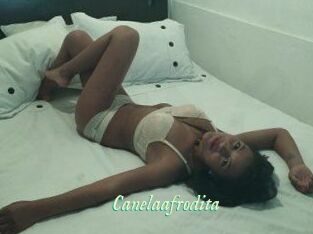 Canelaafrodita