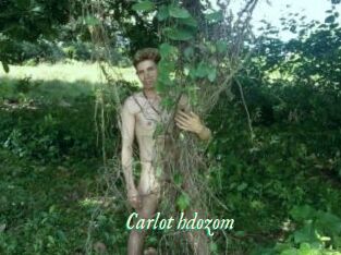 Carlot_hdozom